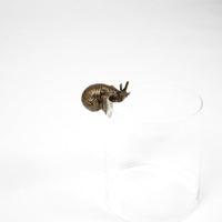 Brass Snail - image 2